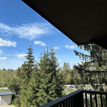 Apartman Pod Smrekom Demaenovska Dolina Екстериор снимка